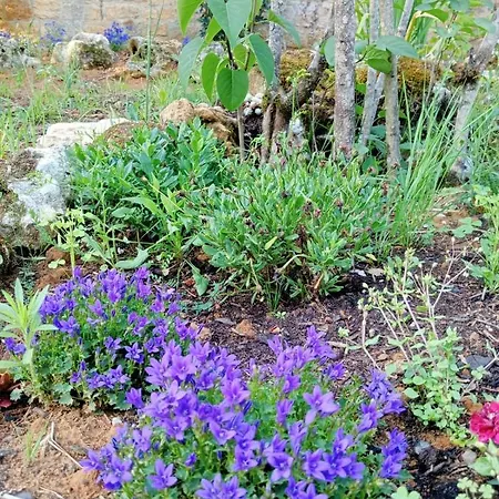 Les D'hotes Chez Alisa Et Daniel Bed and Breakfast 3*