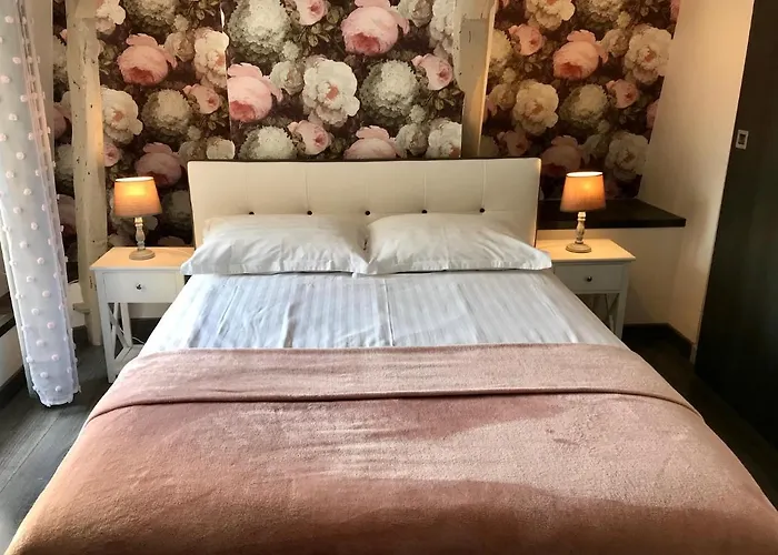 Les D'hotes Chez Alisa Et Daniel Bed & Breakfast Sarlat-la-Caneda