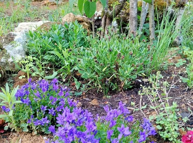 Les D'hotes Chez Alisa Et Daniel Bed and Breakfast 3*