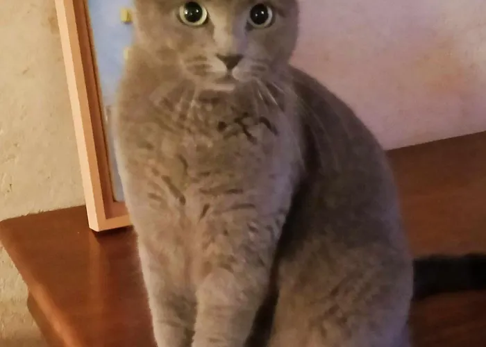 Les D'hotes Chez Alisa Et Daniel 3* Sarlat-la-Caneda